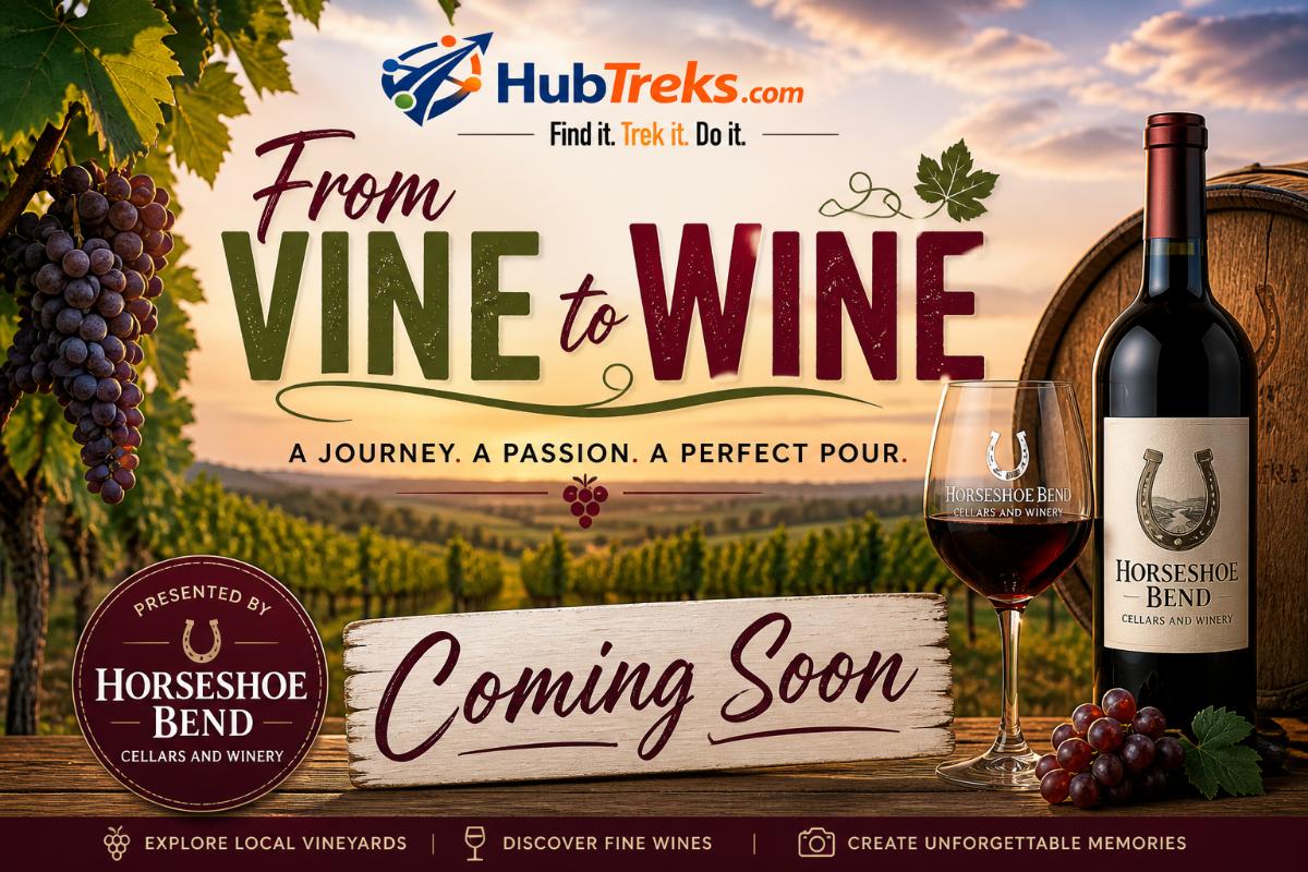 From Vine to Wine